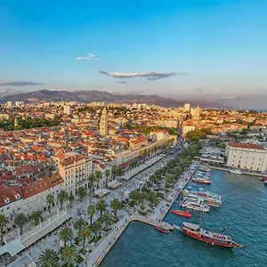 Dalmatian , Split Croatia